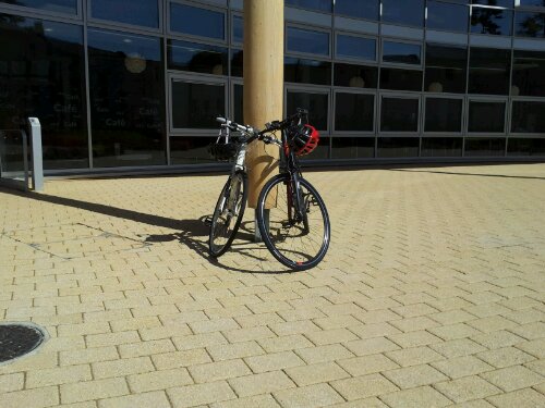 Our Bikes In the sunshine image