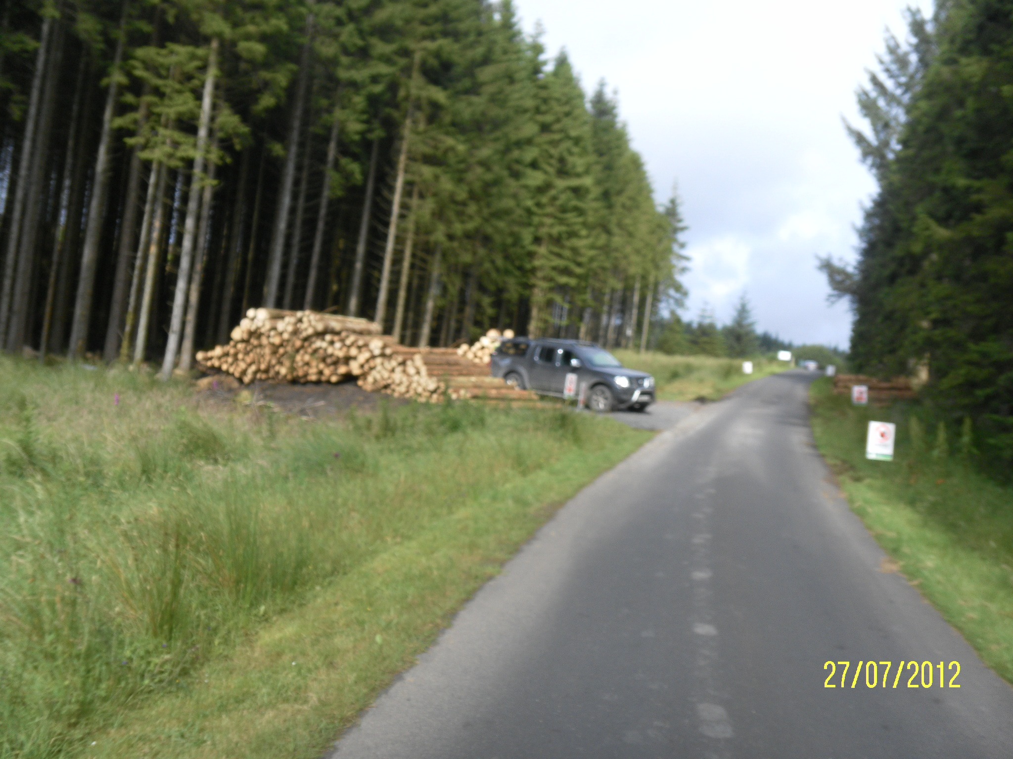 Kielder Forest