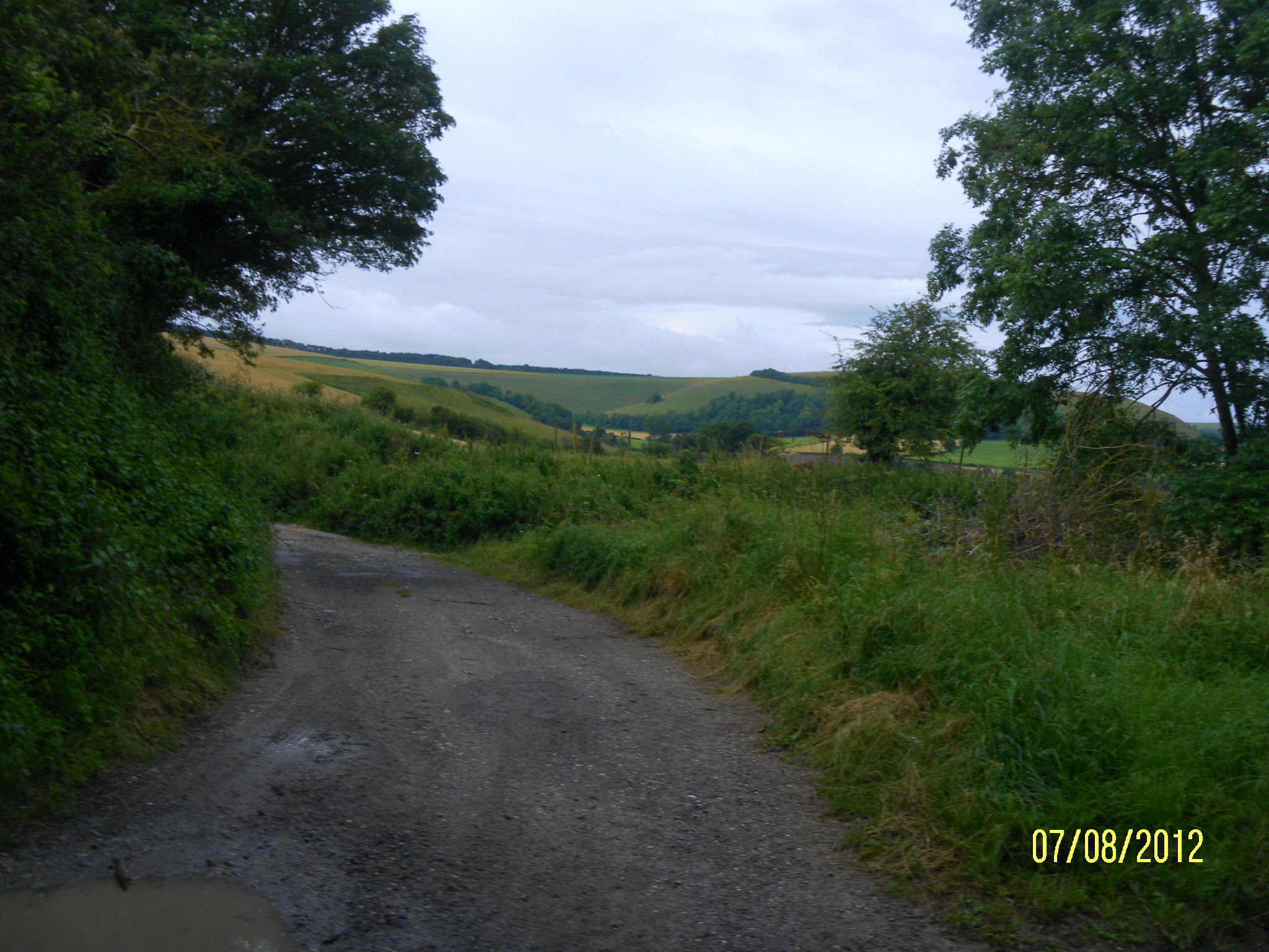 Nice Somerset Countryside