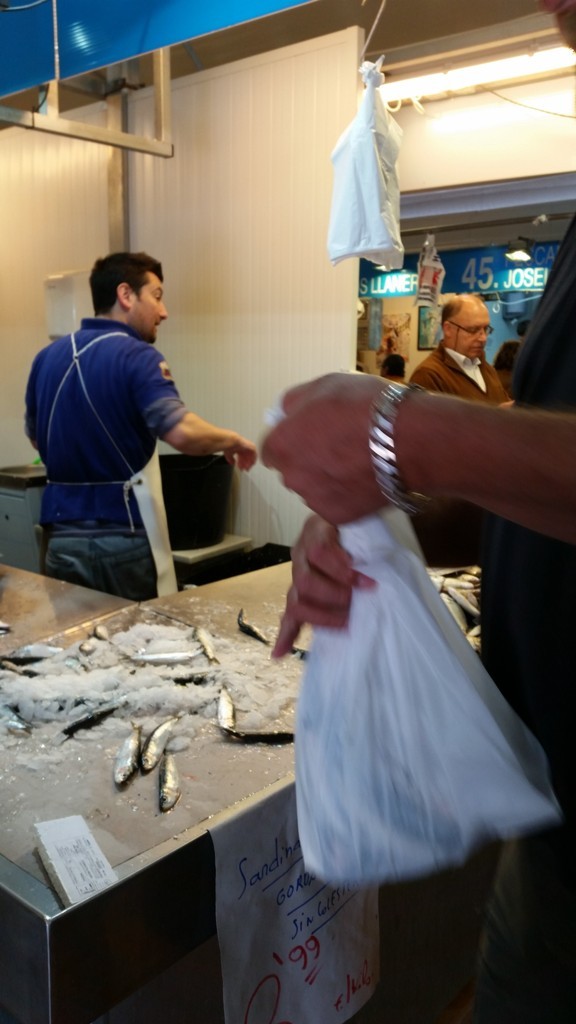 BAGGING THE SARDINAS