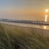 Things to do in Skegness - Gibraltar Point National Nature Reserve