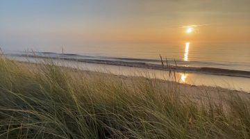 Things to do in Skegness - Gibraltar Point National Nature Reserve