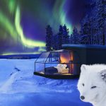Would You Stay In This Igloo?