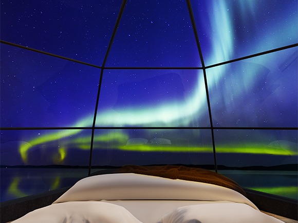 Arctic Fox Igloos