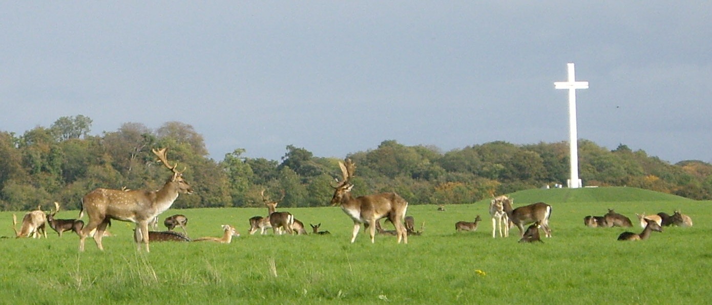 Top Things To Do in Dublin - Phoenix Park Dublin