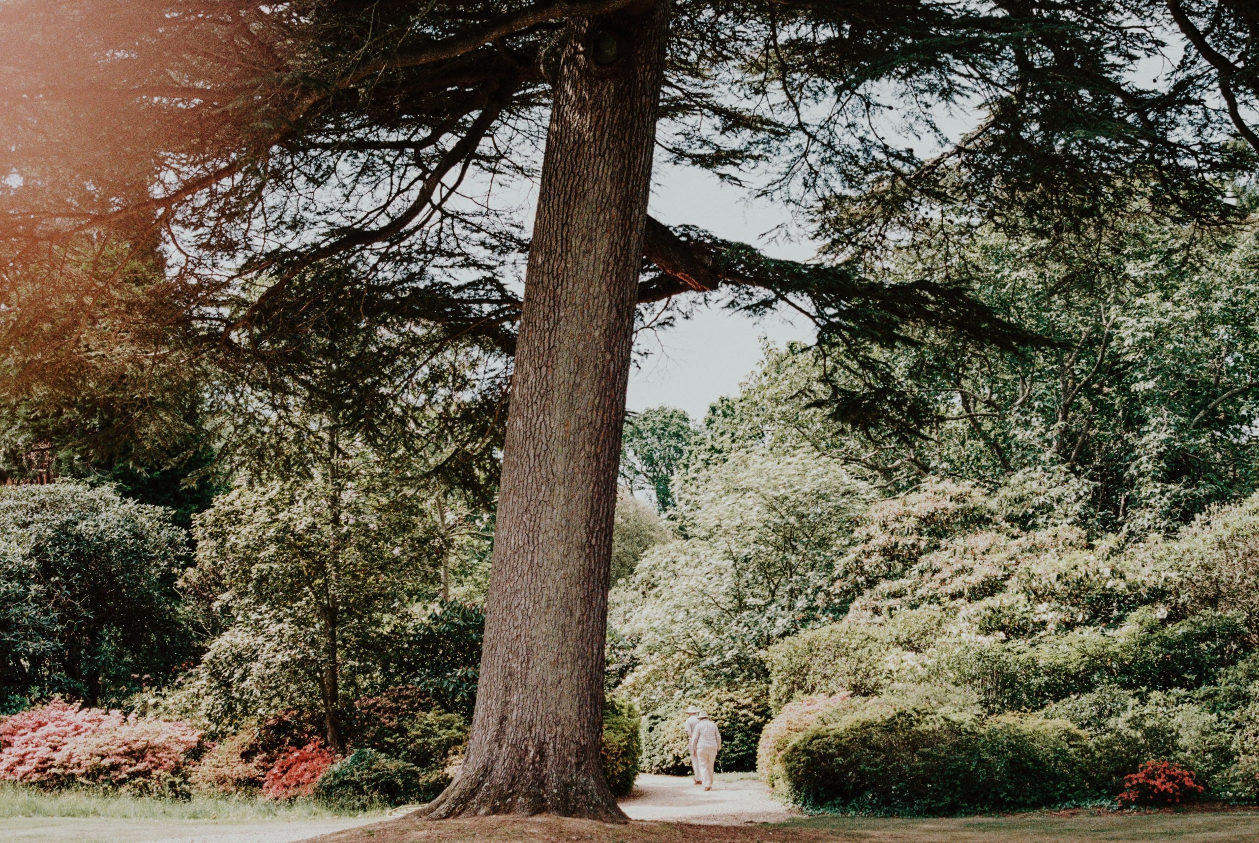 Things To Do In The New Forest - Exbury Gardens
